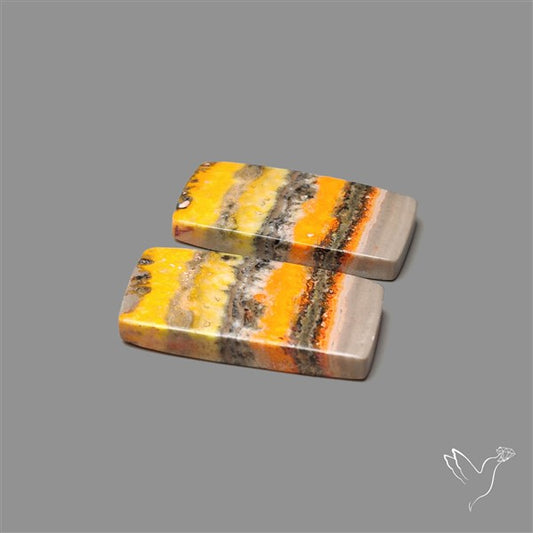 Bumble Bee Jasper Pair