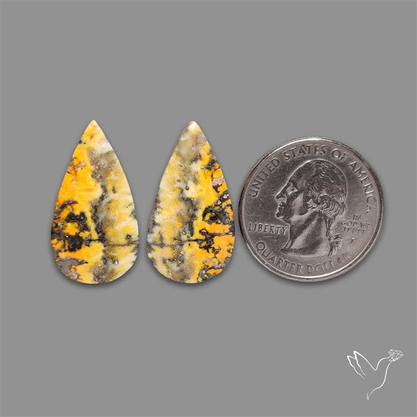 Bumble Bee Jasper Pair