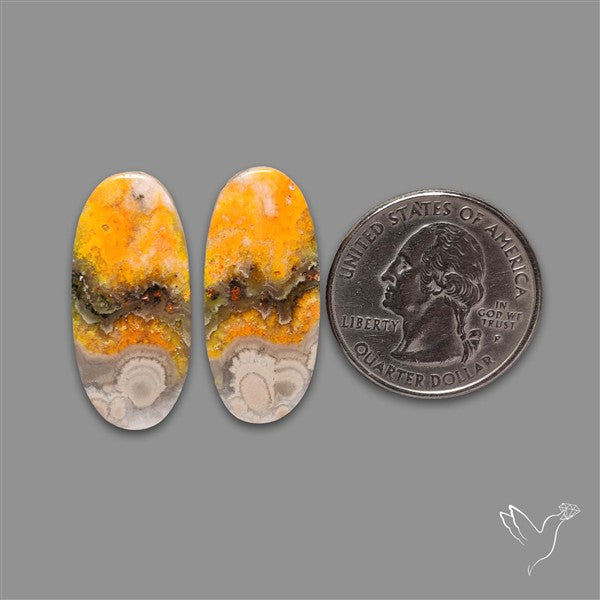 Bumble Bee Jasper Pair