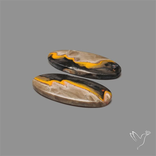 Bumble Bee Jasper Pair