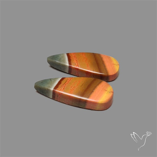 Polychrome Picture Jasper Pair