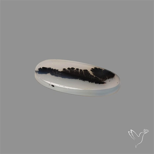 Scenic Agate Cabochon