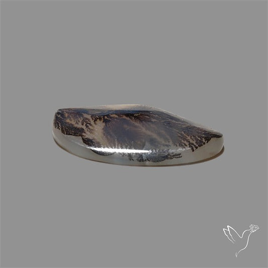 Scenic Agate Cabochon