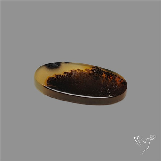 Scenic Agate Cabochon