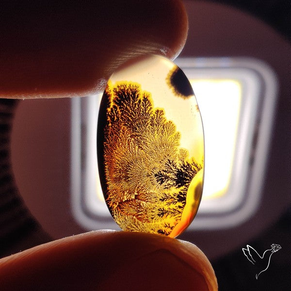 Scenic Agate Cabochon