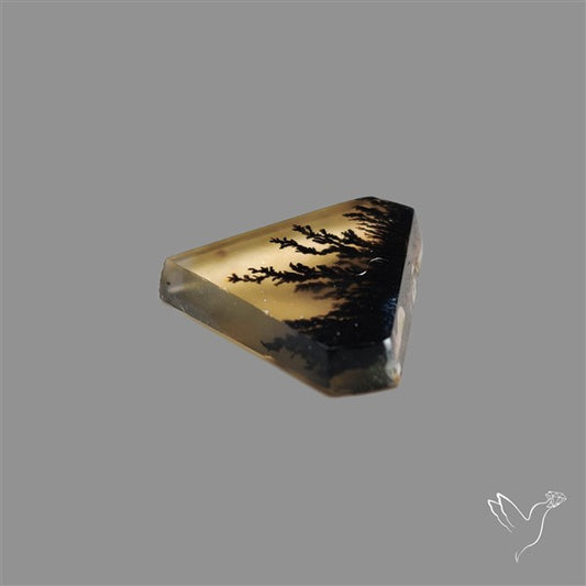 Scenic Agate Cabochon