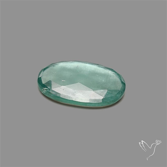 High Grade Green Kyanite Rose Cut Mint Green