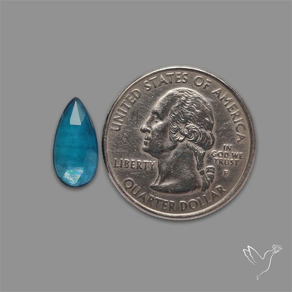 Teal Kyanite Rose Cut High Grade Deep Teal Blue