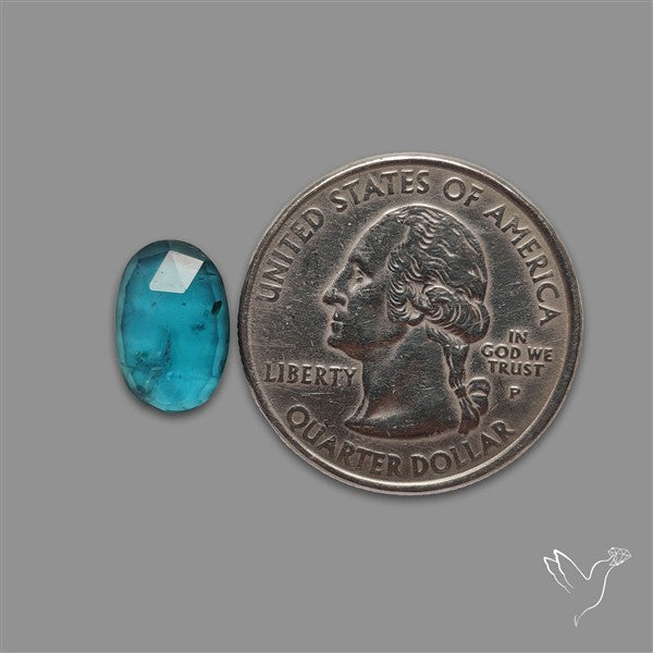 Teal Kyanite Rose Cut High Grade Deep Teal Blue