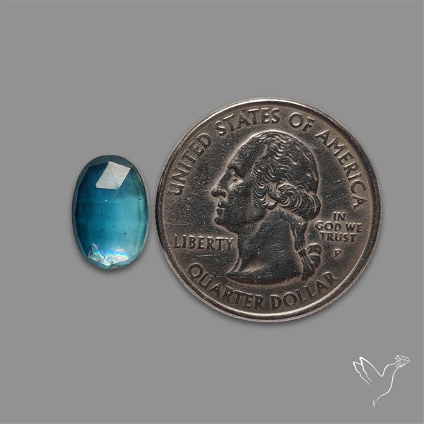 Teal Kyanite Rose Cut High Grade Deep Teal Blue
