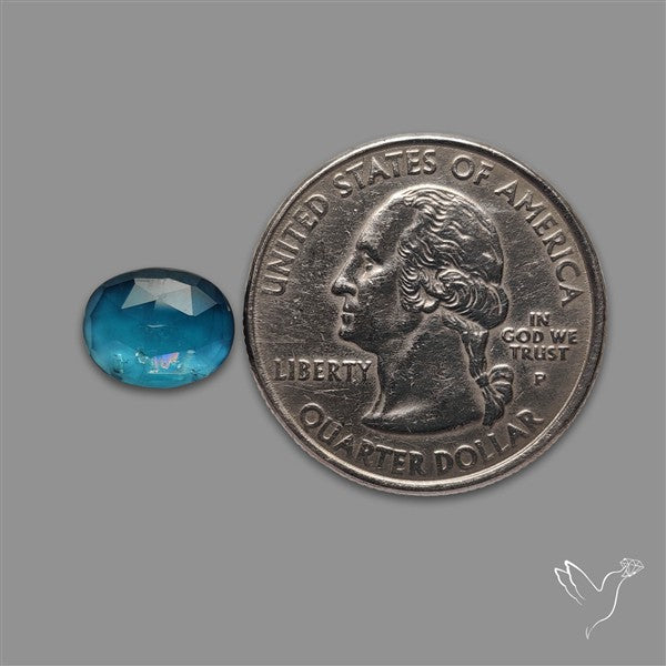 Teal Kyanite Rose Cut High Grade Deep Teal Blue