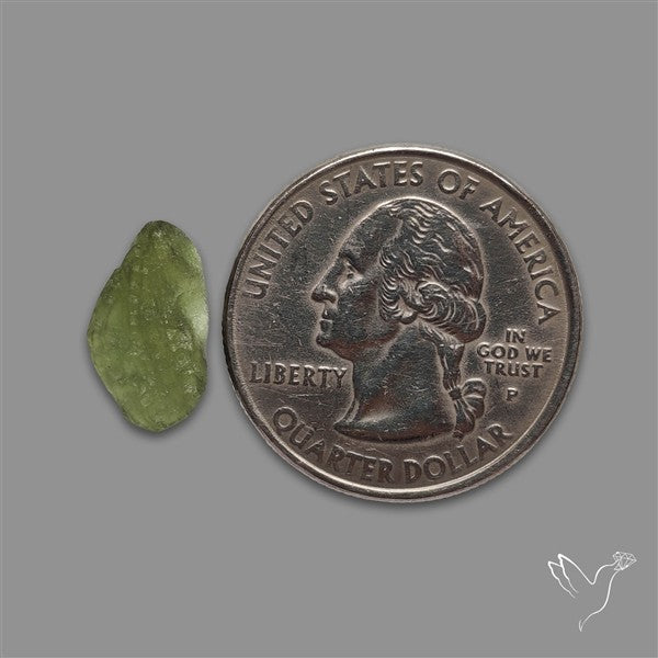 Raw Face Moldavite (Polished Flat Backed)