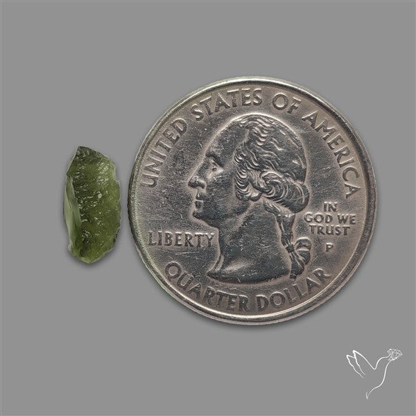 Raw Face Moldavite (Polished Flat Backed)