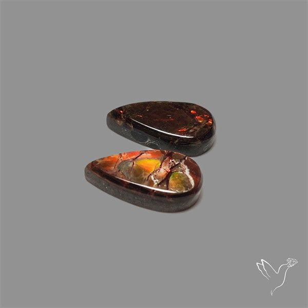 Ammolite Pair