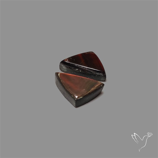 Ammolite Pair