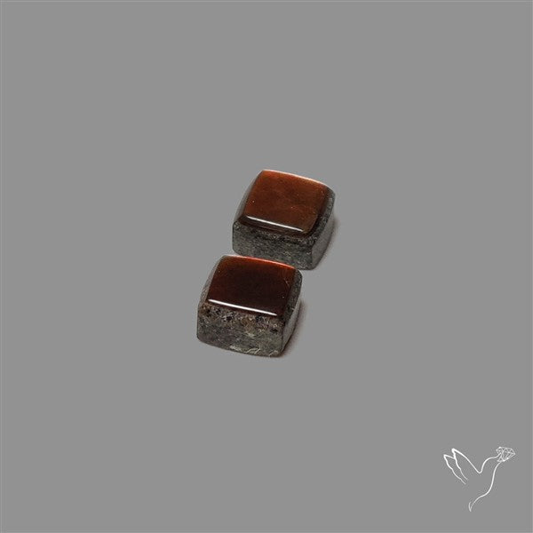 Ammolite Pair
