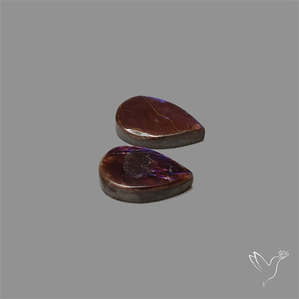 Ammolite Pair Rare Purple