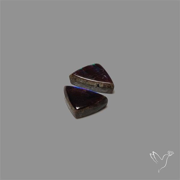 Ammolite Pair Rare Purple
