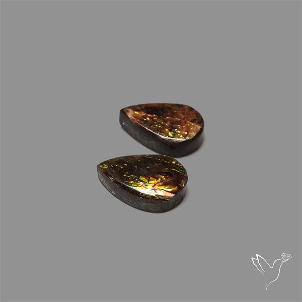 Ammolite Pair