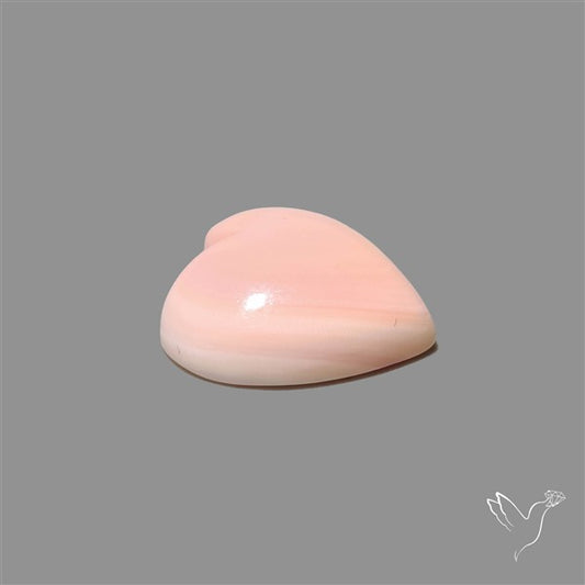 Pink Conch Shell Heart Cabochon