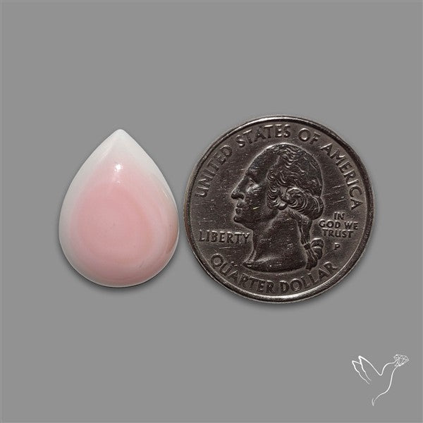 Pink Conch Shell Cabochon