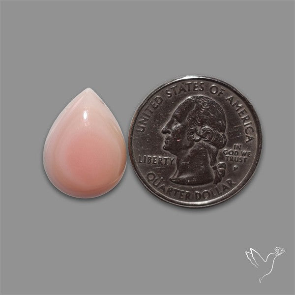 Pink Conch Shell Cabochon