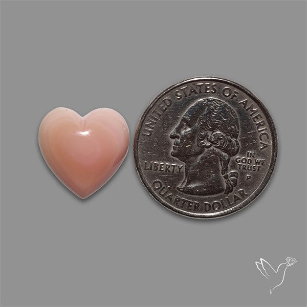 Pink Conch Shell Heart Cabochon