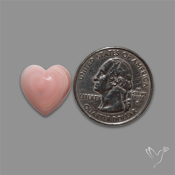 Pink Conch Shell Heart Cabochon
