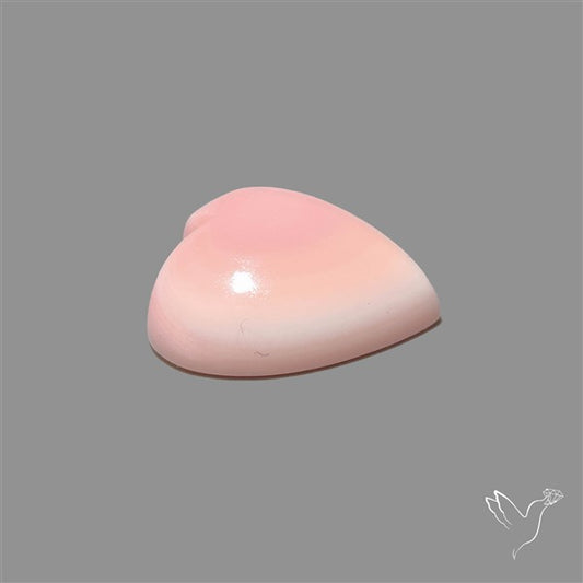 Pink Conch Shell Heart Cabochon