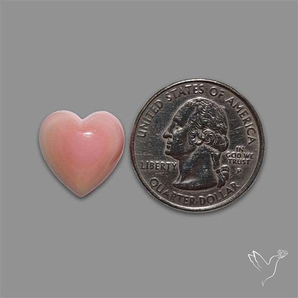 Pink Conch Shell Heart Cabochon