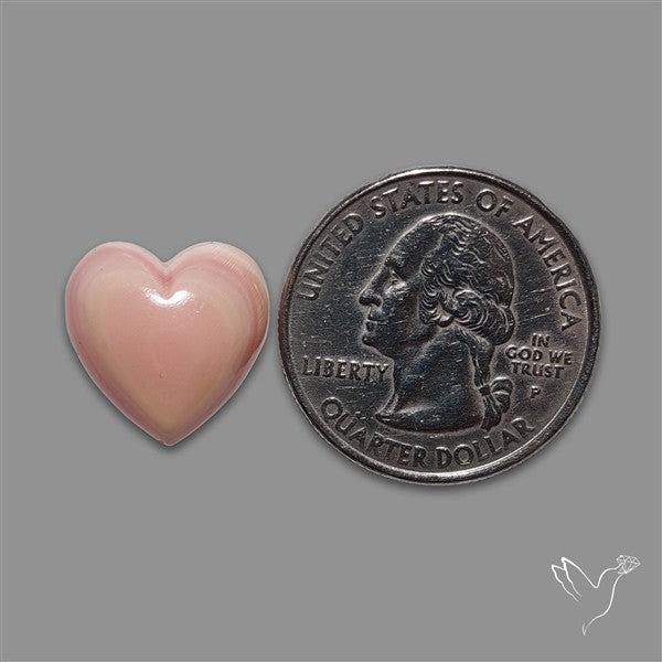 Pink Conch Shell Heart Cabochon