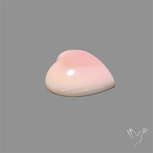 Pink Conch Shell Heart Cabochon