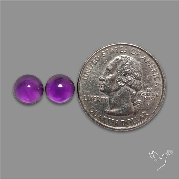 Gemmy Amethyst Pair