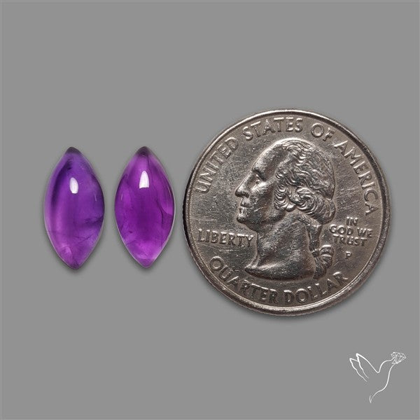 Gemmy Amethyst Pair