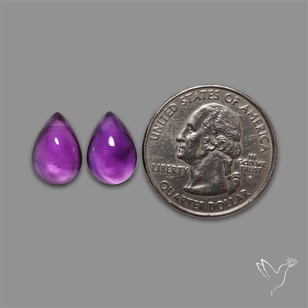 Gemmy Amethyst Pair