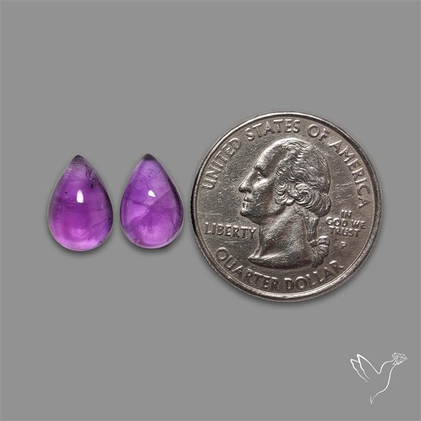 Gemmy Amethyst Pair
