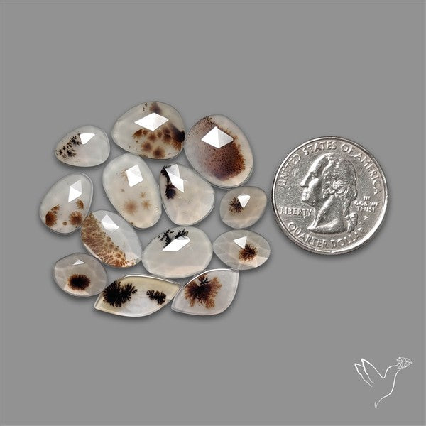 Rose Cut Scenic Agate Lot