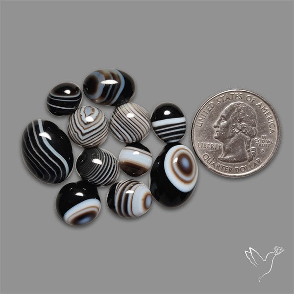 Black Banded Agate Cabochons Lot