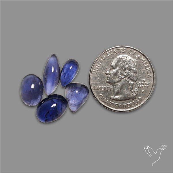 Blue Iolite Cabochons Lot