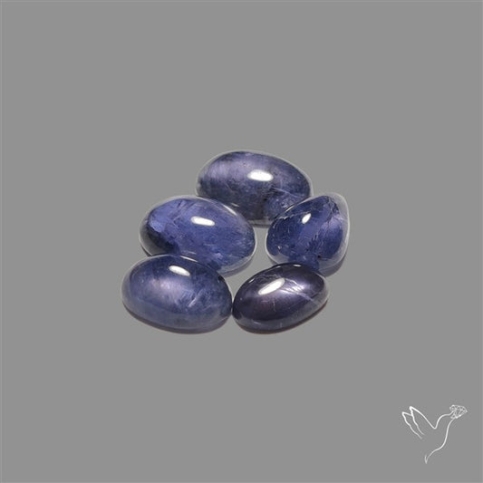 Blue Iolite Cabochons Lot
