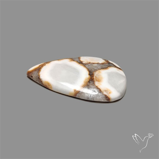 Cobra Jasper Cabochon