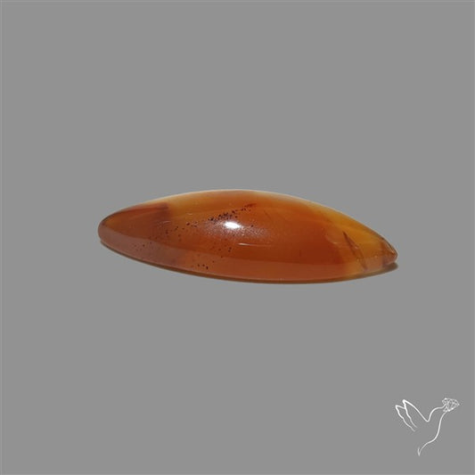 Montana Agate Cabochon