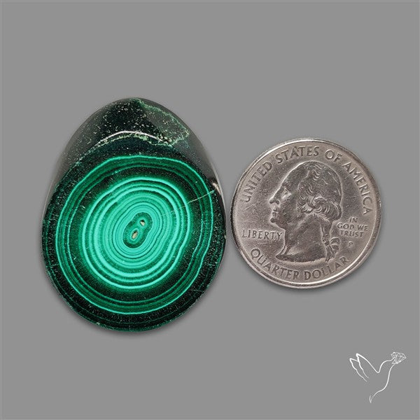 Rare Malachite Stalactite Slice
