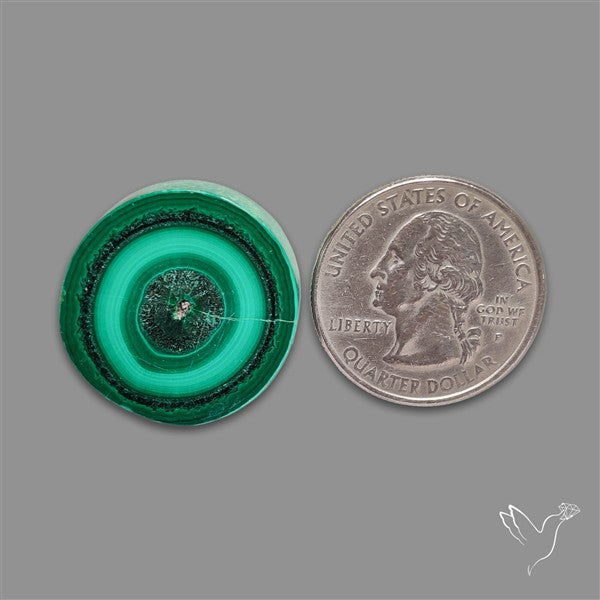Rare Malachite Stalactite Slice