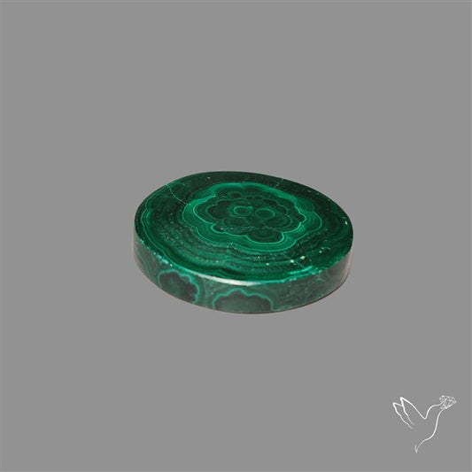Rare Malachite Stalactite Slice