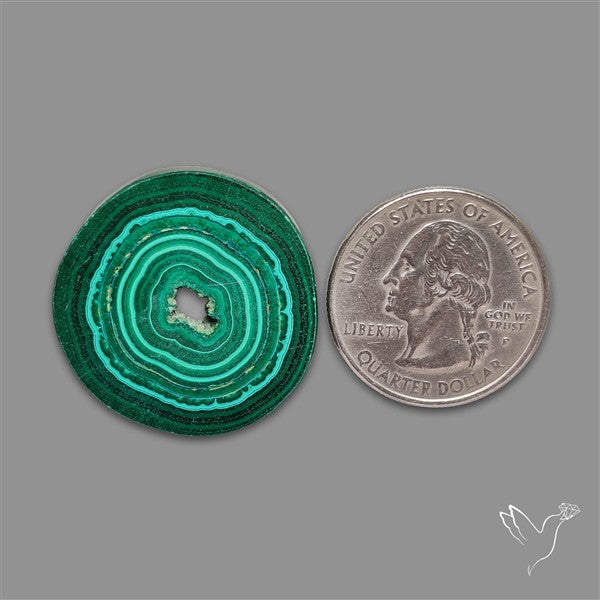 Rare Malachite Stalactite Slice