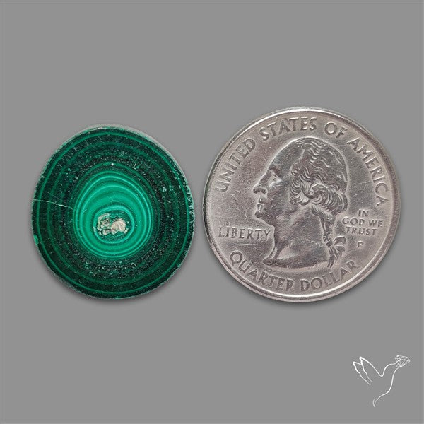 Rare Malachite Stalactite Slice