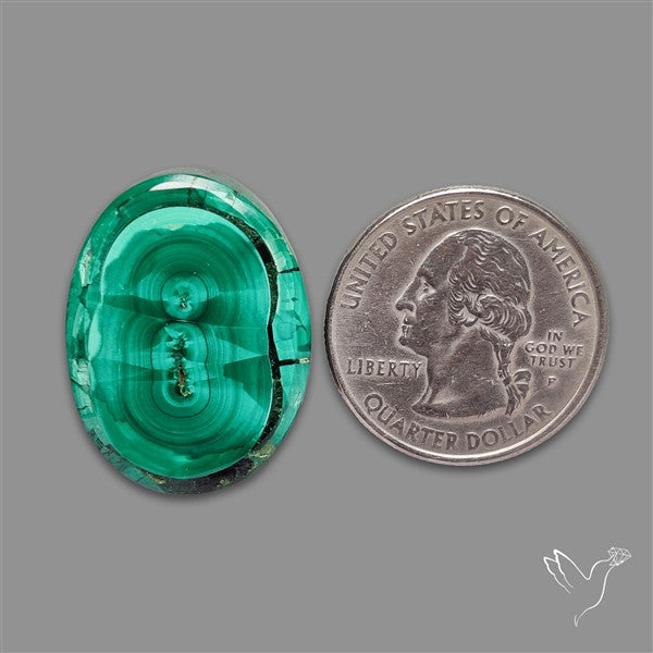 Rare Malachite Stalactite Slice