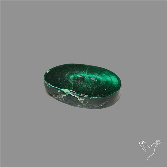 Rare Malachite Stalactite Slice wiith Chattoyancy