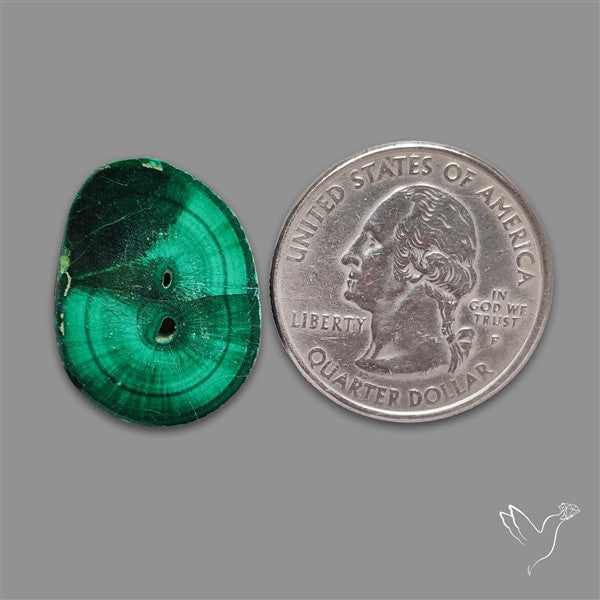 Rare Malachite Stalactite Slice wiith Chattoyancy